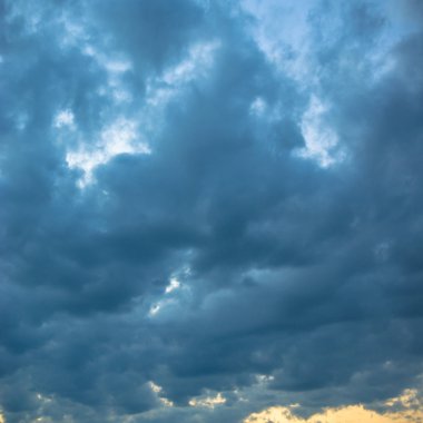 görüntü doğa serisi