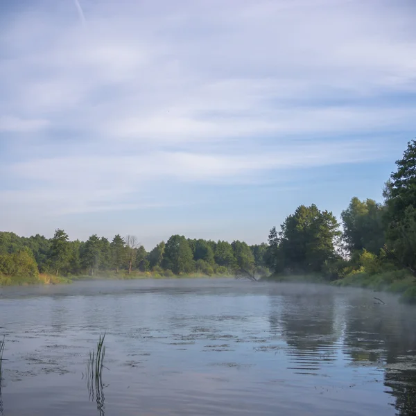 görüntü doğa serisi