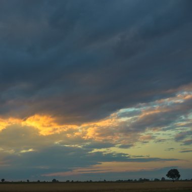 görüntü doğa serisi