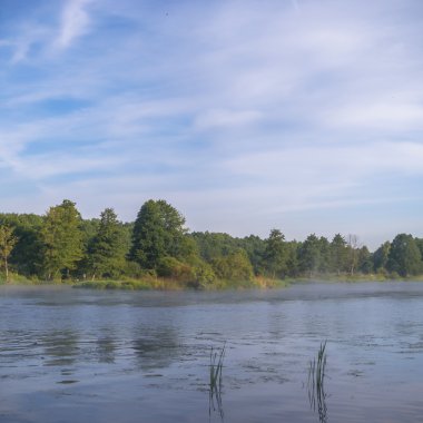 görüntü doğa serisi