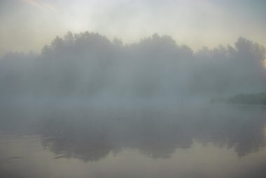 görüntü doğa serisi