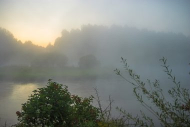 görüntü doğa serisi