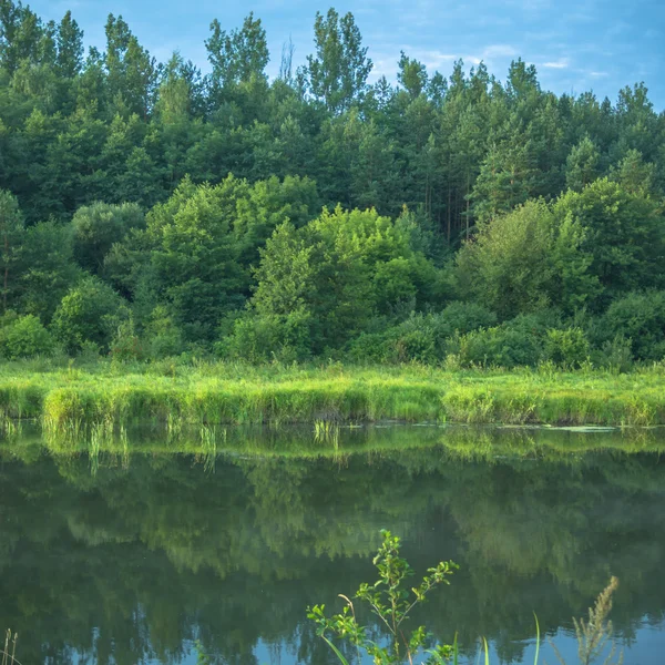 Imagen de la serie naturaleza — Foto de Stock