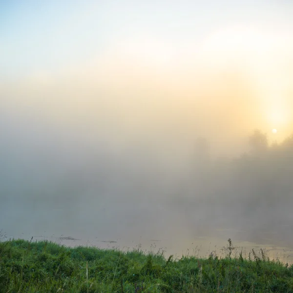 Beeld uit natuur-serie — Stockfoto