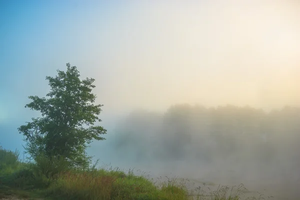 Obrázek ze série nature — Stock fotografie