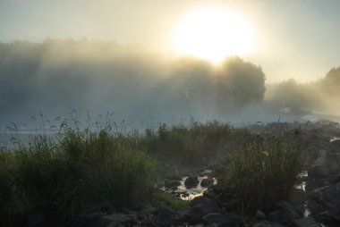 görüntü doğa serisi