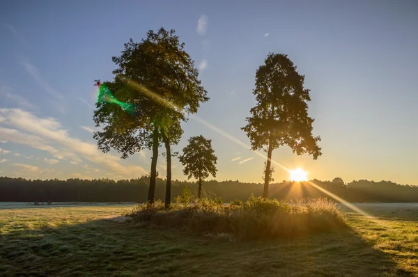 Immagine dalla serie natura — Foto Stock