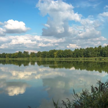 görüntü doğa serisi