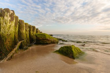 görüntü doğa serisi