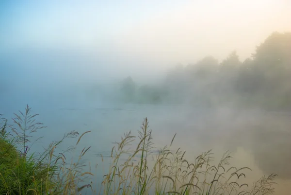 Bild från naturen-serien — Stockfoto