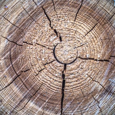 görüntü doğa serisi