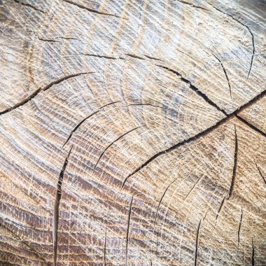 görüntü doğa serisi