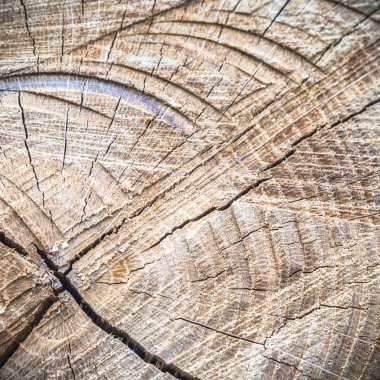 görüntü doğa serisi