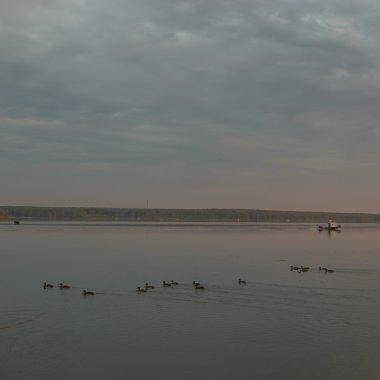 görüntü doğa serisi