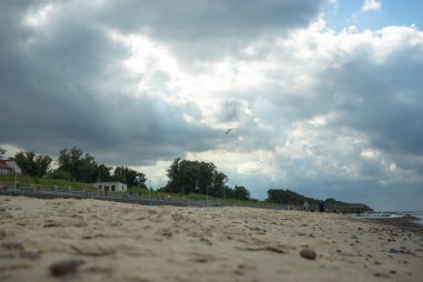 görüntü doğa serisi