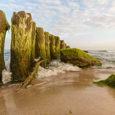 görüntü doğa serisi