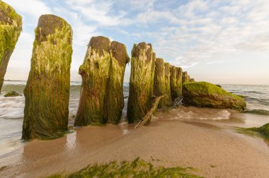 görüntü doğa serisi
