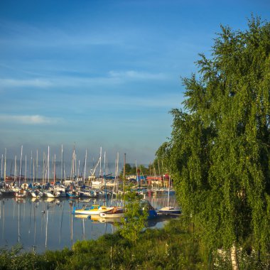 görüntü doğa serisi