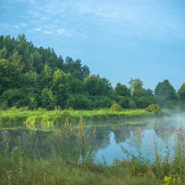 görüntü doğa serisi