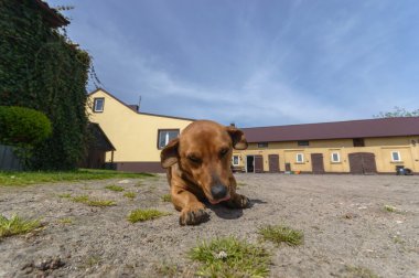 görüntü doğa serisi