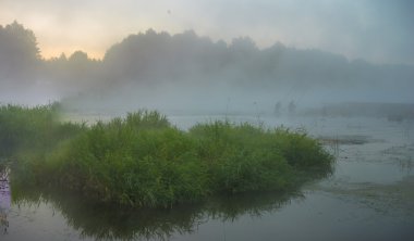 görüntü doğa serisi