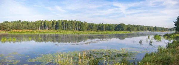 Bild från naturen-serien — Stockfoto