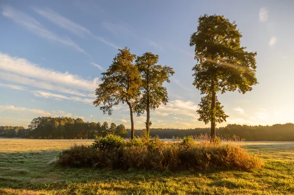 Beeld uit natuur-serie — Stockfoto