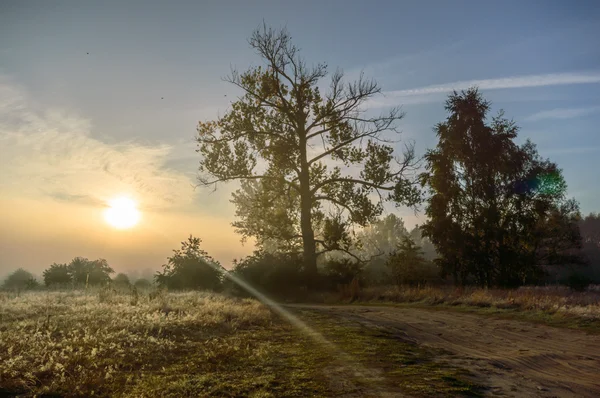 Obrázek ze série nature — Stock fotografie