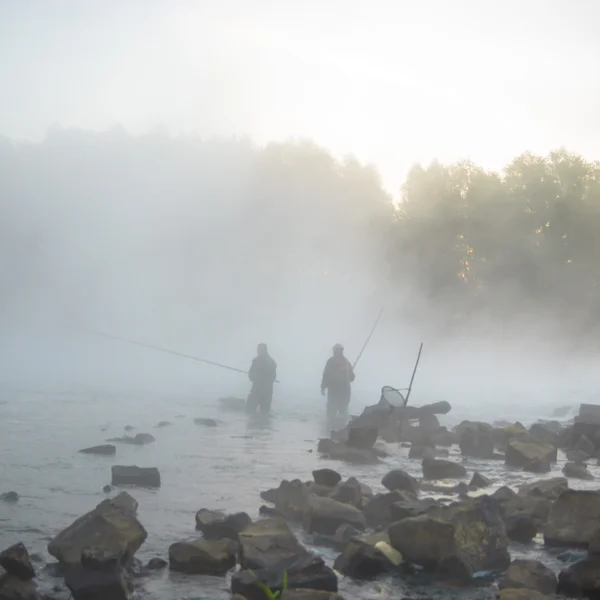 Image de la série nature — Photo