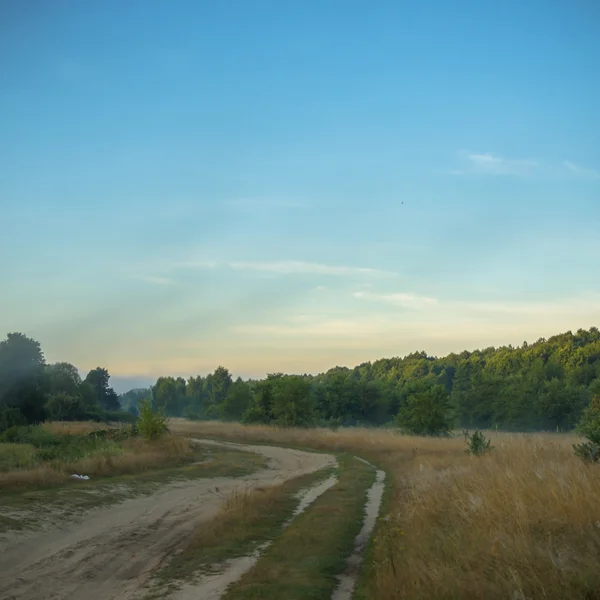 Immagine dalla serie natura — Foto Stock