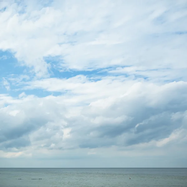 Bild från naturen-serien — Stockfoto