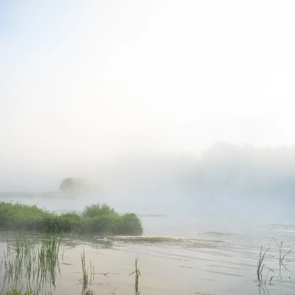 Immagine dalla serie natura — Foto Stock