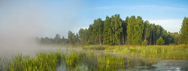 Beeld uit natuur-serie — Stockfoto