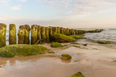 görüntü doğa serisi