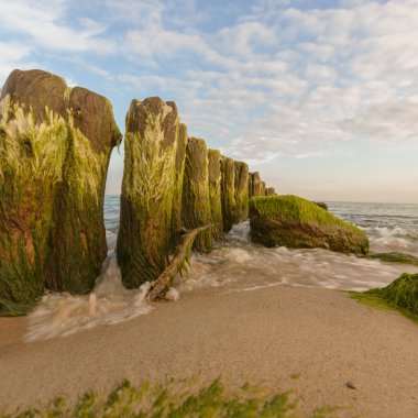 görüntü doğa serisi