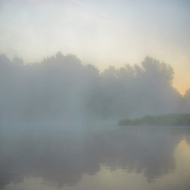 görüntü doğa serisi