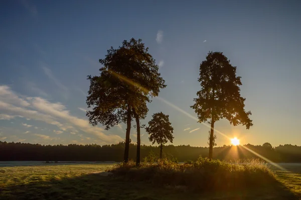 Immagine dalla serie natura — Foto Stock