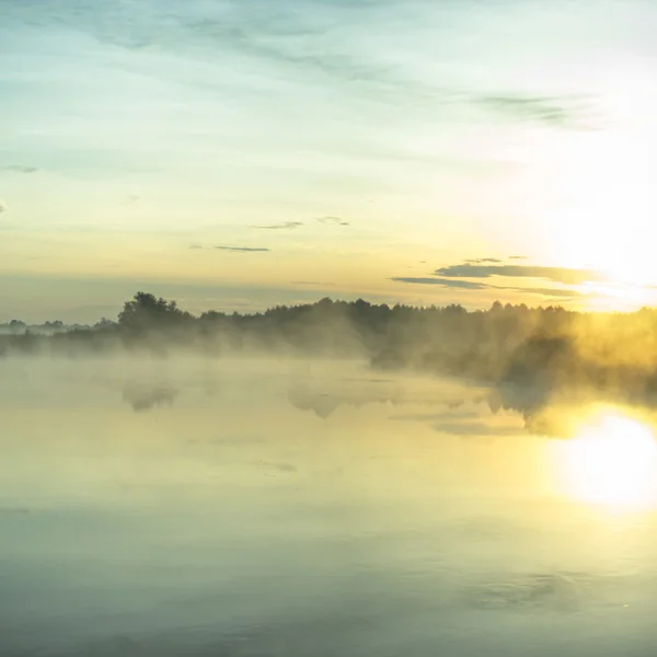 Obraz z serii natura — Zdjęcie stockowe