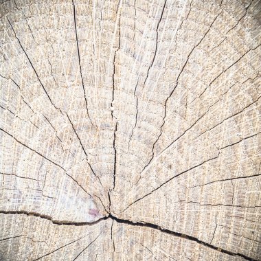 görüntü doğa serisi