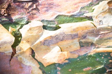 görüntü doğa serisi