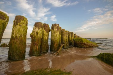 görüntü doğa serisi