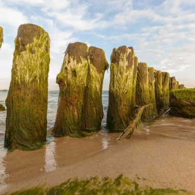 görüntü doğa serisi