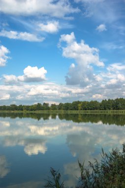 görüntü doğa serisi