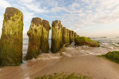 görüntü doğa serisi