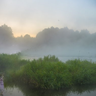 görüntü doğa serisi