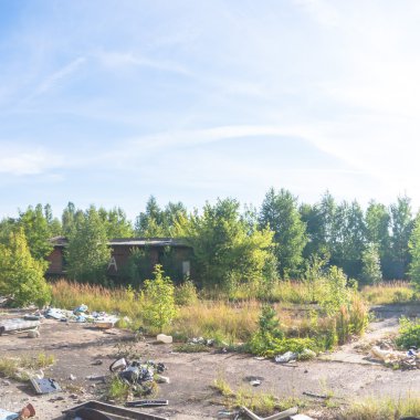 görüntü doğa serisi