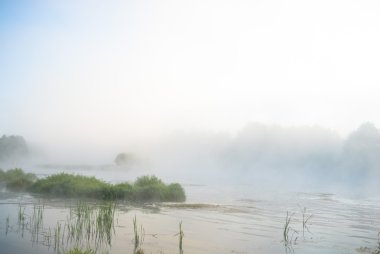 görüntü doğa serisi