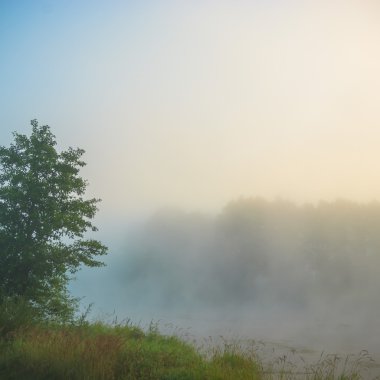 görüntü doğa serisi