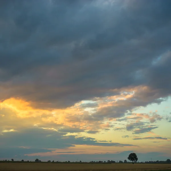 Beeld uit natuur-serie — Stockfoto