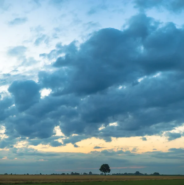 Bilde fra naturserien – stockfoto